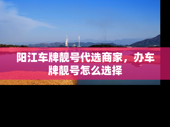 阳江车牌靓号代选商家，办车牌靓号怎么选择-第1张图片-七号汽车选号