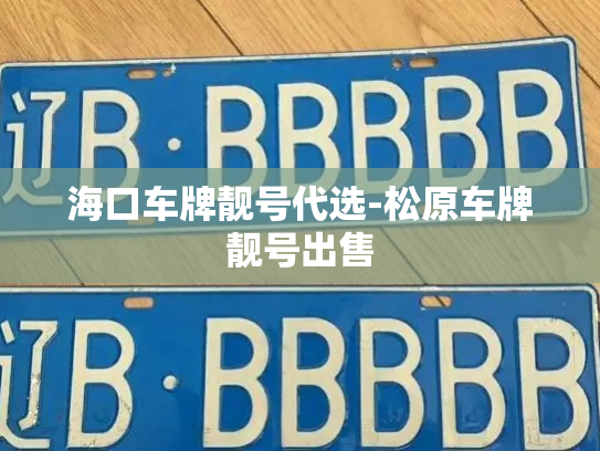 海口车牌靓号代选-松原车牌靓号出售-第3张图片-七号汽车选号 海口车牌靓号代选-松原车牌靓号出售-第3张图片-七号汽车选号