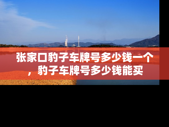 张家口豹子车牌号多少钱一个，豹子车牌号多少钱能买-第1张图片-七号汽车选号