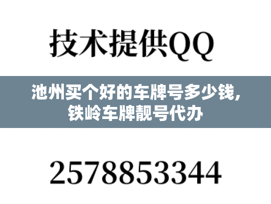池州买个好的车牌号多少钱,铁岭车牌靓号代办-第1张图片-七号汽车选号