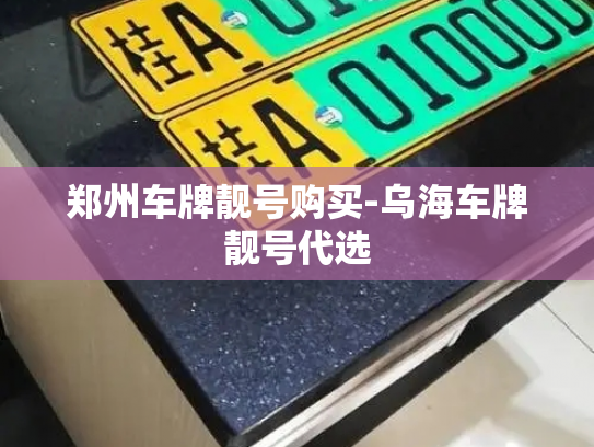 郑州车牌靓号购买-乌海车牌靓号代选-第3张图片-七号汽车选号