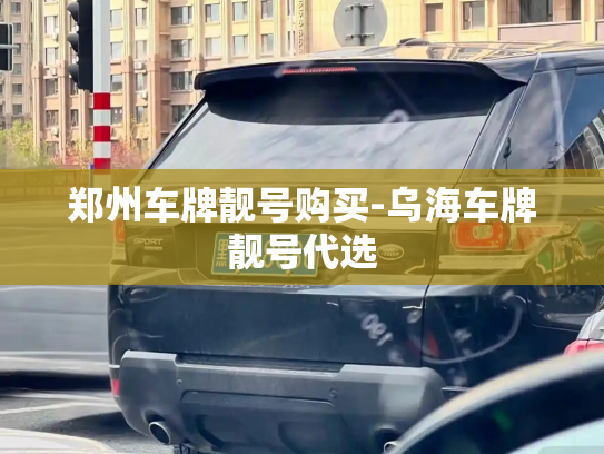 郑州车牌靓号购买-乌海车牌靓号代选-第4张图片-七号汽车选号