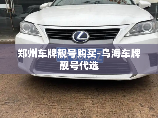 郑州车牌靓号购买-乌海车牌靓号代选-第2张图片-七号汽车选号