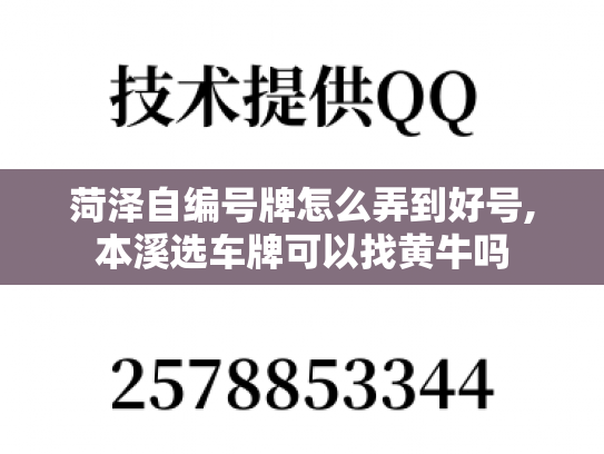 菏泽自编号牌怎么弄到好号,本溪选车牌可以找黄牛吗-第1张图片-七号汽车选号