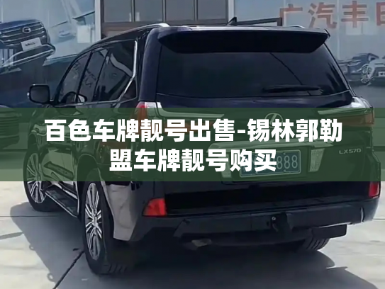 百色车牌靓号出售-锡林郭勒盟车牌靓号购买-第3张图片-七号汽车选号 百色车牌靓号出售-锡林郭勒盟车牌靓号购买-第3张图片-七号汽车选号