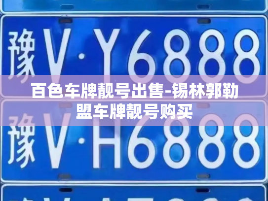 百色车牌靓号出售-锡林郭勒盟车牌靓号购买-第4张图片-七号汽车选号 百色车牌靓号出售-锡林郭勒盟车牌靓号购买-第4张图片-七号汽车选号