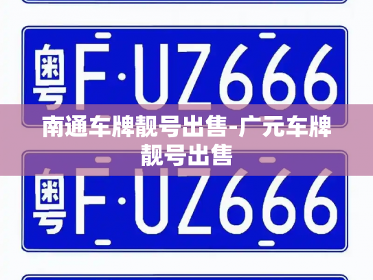 南通车牌靓号出售-广元车牌靓号出售-第3张图片-七号汽车选号 南通车牌靓号出售-广元车牌靓号出售-第3张图片-七号汽车选号