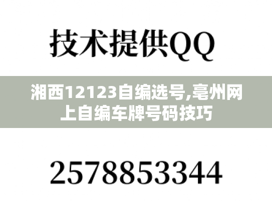 湘西12123自编选号,亳州网上自编车牌号码技巧-第1张图片-七号汽车选号