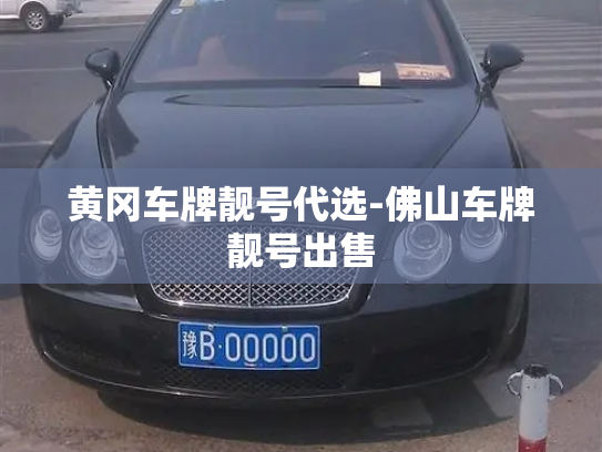 黄冈车牌靓号代选-佛山车牌靓号出售-第4张图片-七号汽车选号