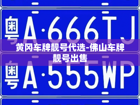 黄冈车牌靓号代选-佛山车牌靓号出售-第2张图片-七号汽车选号