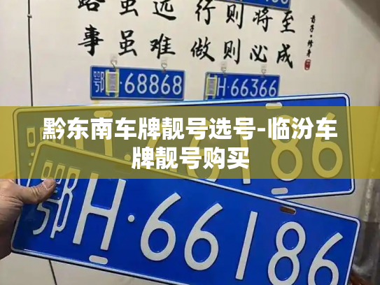 黔东南车牌靓号选号-临汾车牌靓号购买-第3张图片-七号汽车选号