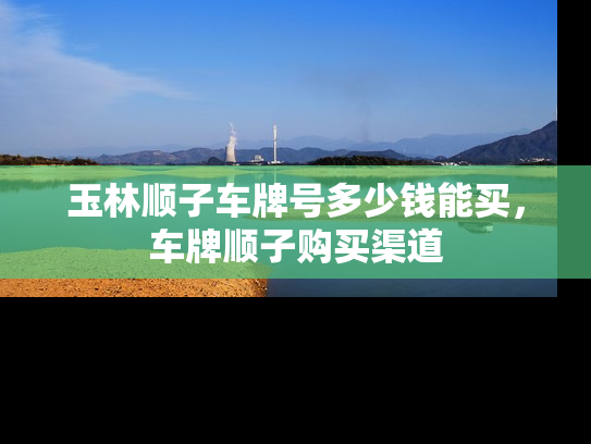 玉林顺子车牌号多少钱能买，车牌顺子购买渠道-第1张图片-七号汽车选号