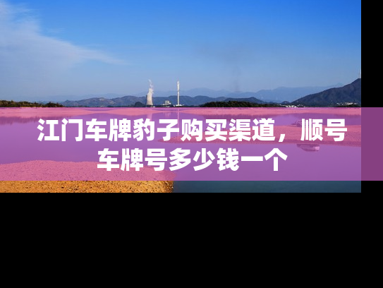 江门车牌豹子购买渠道，顺号车牌号多少钱一个-第1张图片-七号汽车选号