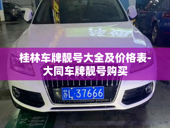 桂林车牌靓号大全及价格表-大同车牌靓号购买-第3张图片-七号汽车选号 桂林车牌靓号大全及价格表-大同车牌靓号购买-第3张图片-七号汽车选号