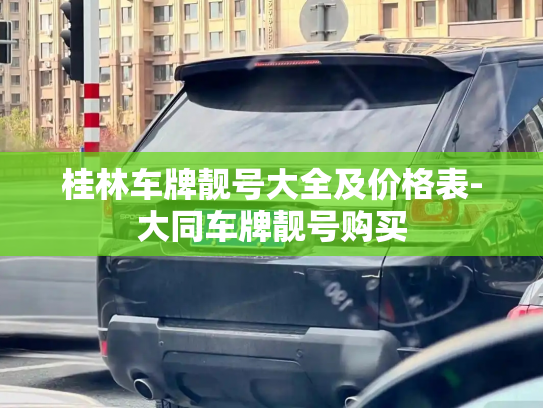 桂林车牌靓号大全及价格表-大同车牌靓号购买-第4张图片-七号汽车选号 桂林车牌靓号大全及价格表-大同车牌靓号购买-第4张图片-七号汽车选号