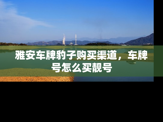 雅安车牌豹子购买渠道，车牌号怎么买靓号