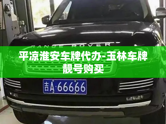 平凉淮安车牌代办-玉林车牌靓号购买-第2张图片-七号汽车选号