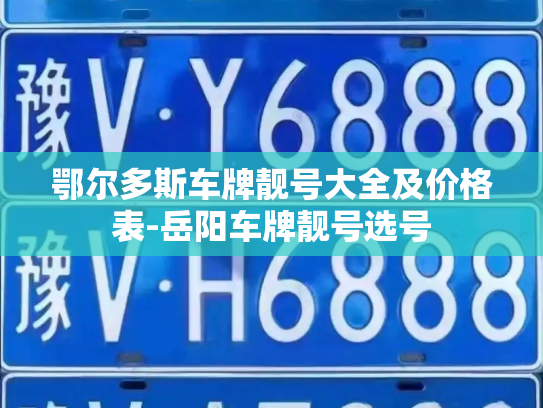 鄂尔多斯车牌靓号大全及价格表-岳阳车牌靓号选号-第3张图片-七号汽车选号 鄂尔多斯车牌靓号大全及价格表-岳阳车牌靓号选号-第3张图片-七号汽车选号