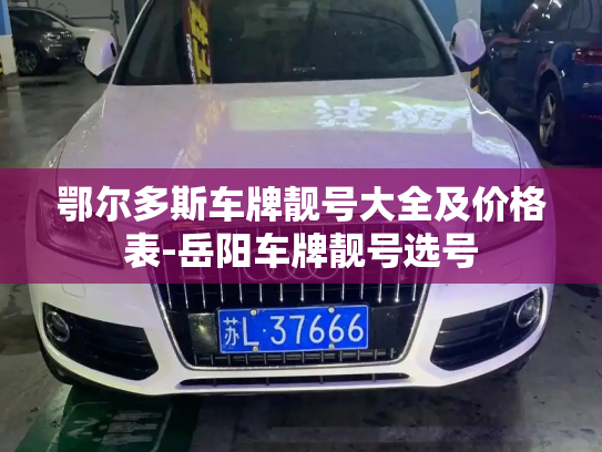 鄂尔多斯车牌靓号大全及价格表-岳阳车牌靓号选号-第4张图片-七号汽车选号 鄂尔多斯车牌靓号大全及价格表-岳阳车牌靓号选号-第4张图片-七号汽车选号