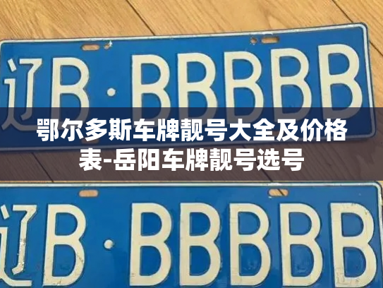 鄂尔多斯车牌靓号大全及价格表-岳阳车牌靓号选号-第2张图片-七号汽车选号 鄂尔多斯车牌靓号大全及价格表-岳阳车牌靓号选号-第2张图片-七号汽车选号