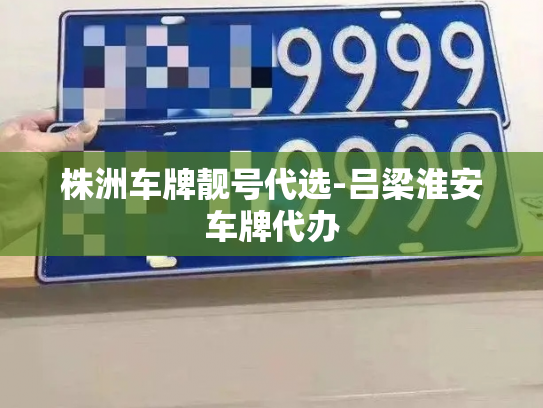 株洲车牌靓号代选-吕梁淮安车牌代办-第3张图片-七号汽车选号 株洲车牌靓号代选-吕梁淮安车牌代办-第3张图片-七号汽车选号