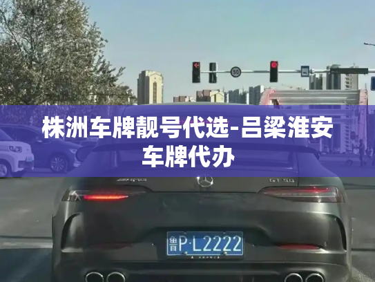 株洲车牌靓号代选-吕梁淮安车牌代办-第4张图片-七号汽车选号 株洲车牌靓号代选-吕梁淮安车牌代办-第4张图片-七号汽车选号
