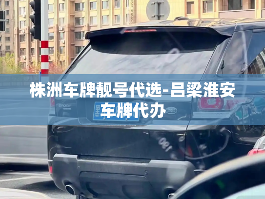 株洲车牌靓号代选-吕梁淮安车牌代办-第2张图片-七号汽车选号 株洲车牌靓号代选-吕梁淮安车牌代办-第2张图片-七号汽车选号