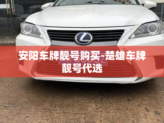 安阳车牌靓号购买-楚雄车牌靓号代选-第2张图片-七号汽车选号 安阳车牌靓号购买-楚雄车牌靓号代选-第2张图片-七号汽车选号