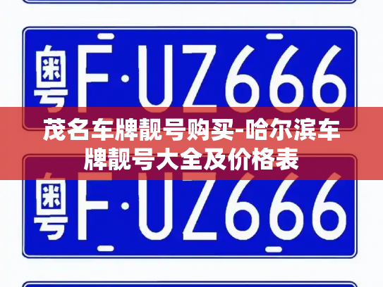 茂名车牌靓号购买-哈尔滨车牌靓号大全及价格表-第3张图片-七号汽车选号 茂名车牌靓号购买-哈尔滨车牌靓号大全及价格表-第3张图片-七号汽车选号
