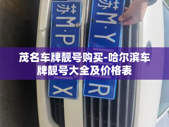 茂名车牌靓号购买-哈尔滨车牌靓号大全及价格表-第4张图片-七号汽车选号 茂名车牌靓号购买-哈尔滨车牌靓号大全及价格表-第4张图片-七号汽车选号