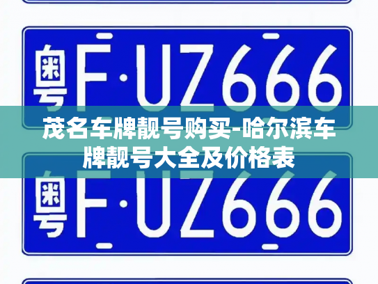 茂名车牌靓号购买-哈尔滨车牌靓号大全及价格表-第2张图片-七号汽车选号 茂名车牌靓号购买-哈尔滨车牌靓号大全及价格表-第2张图片-七号汽车选号