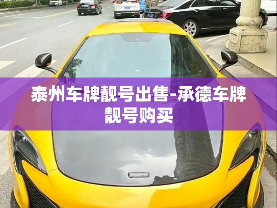 泰州车牌靓号出售-承德车牌靓号购买-第3张图片-七号汽车选号