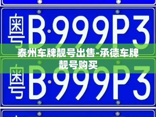 泰州车牌靓号出售-承德车牌靓号购买-第4张图片-七号汽车选号