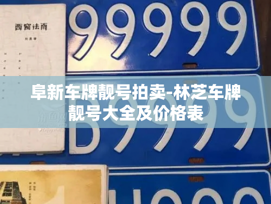 阜新车牌靓号拍卖-林芝车牌靓号大全及价格表-第2张图片-七号汽车选号
