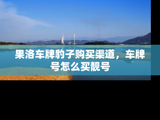 果洛车牌豹子购买渠道，车牌号怎么买靓号