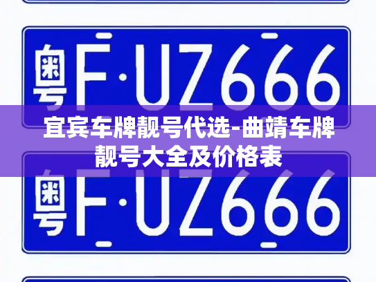 宜宾车牌靓号代选-曲靖车牌靓号大全及价格表-第3张图片-七号汽车选号 宜宾车牌靓号代选-曲靖车牌靓号大全及价格表-第3张图片-七号汽车选号