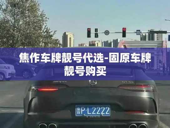 焦作车牌靓号代选-固原车牌靓号购买-第3张图片-七号汽车选号 焦作车牌靓号代选-固原车牌靓号购买-第3张图片-七号汽车选号