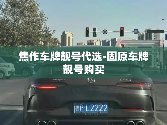 焦作车牌靓号代选-固原车牌靓号购买-第4张图片-七号汽车选号 焦作车牌靓号代选-固原车牌靓号购买-第4张图片-七号汽车选号