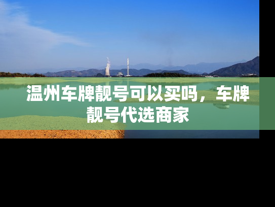 温州车牌靓号可以买吗，车牌靓号代选商家-第1张图片-七号汽车选号