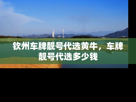 钦州车牌靓号代选黄牛，车牌靓号代选多少钱-第1张图片-七号汽车选号