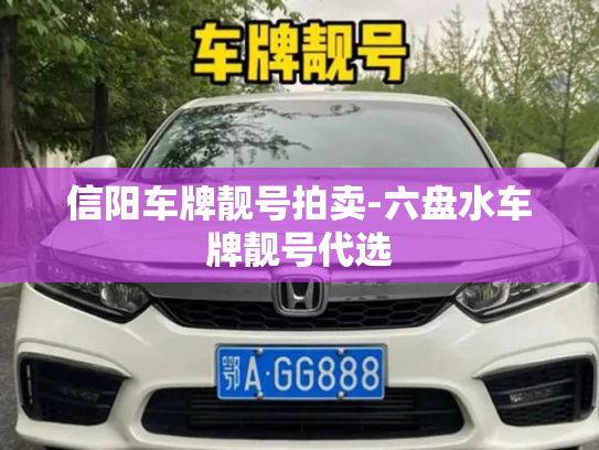 信阳车牌靓号拍卖-六盘水车牌靓号代选-第4张图片-七号汽车选号