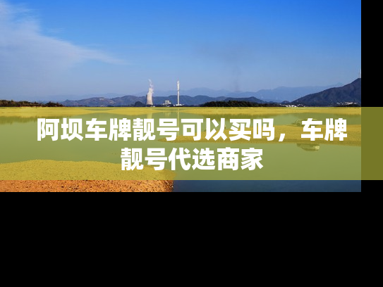 阿坝车牌靓号可以买吗，车牌靓号代选商家-第1张图片-七号汽车选号