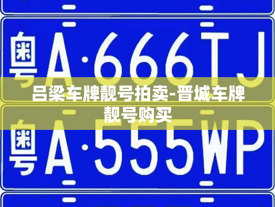 吕梁车牌靓号拍卖-晋城车牌靓号购买-第3张图片-七号汽车选号 吕梁车牌靓号拍卖-晋城车牌靓号购买-第3张图片-七号汽车选号