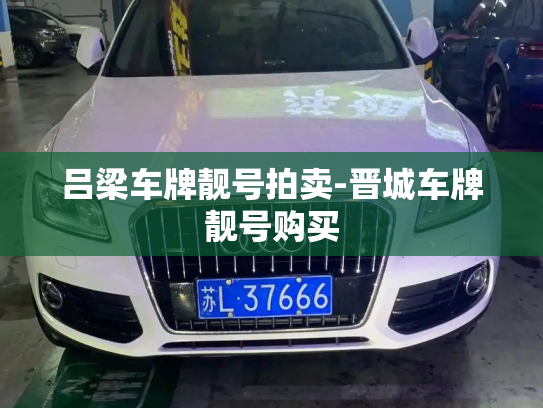 吕梁车牌靓号拍卖-晋城车牌靓号购买-第4张图片-七号汽车选号 吕梁车牌靓号拍卖-晋城车牌靓号购买-第4张图片-七号汽车选号