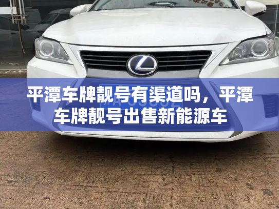 平潭车牌靓号有渠道吗，平潭车牌靓号出售新能源车-第2张图片-七号汽车选号