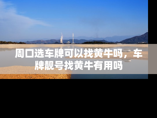 周口选车牌可以找黄牛吗，车牌靓号找黄牛有用吗