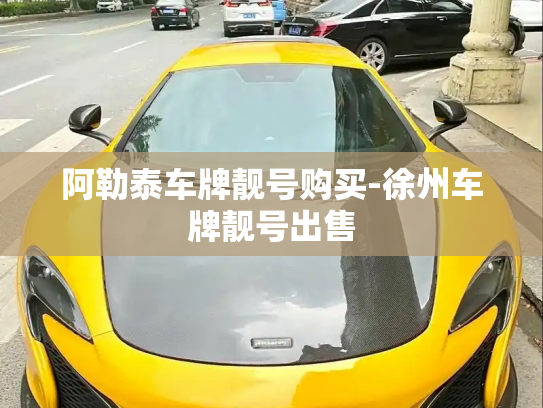 阿勒泰车牌靓号购买-徐州车牌靓号出售-第3张图片-七号汽车选号 阿勒泰车牌靓号购买-徐州车牌靓号出售-第3张图片-七号汽车选号