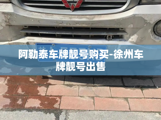 阿勒泰车牌靓号购买-徐州车牌靓号出售-第2张图片-七号汽车选号 阿勒泰车牌靓号购买-徐州车牌靓号出售-第2张图片-七号汽车选号