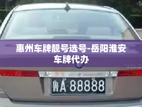 惠州车牌靓号选号-岳阳淮安车牌代办-第3张图片-七号汽车选号