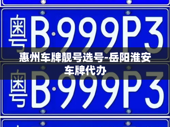 惠州车牌靓号选号-岳阳淮安车牌代办-第4张图片-七号汽车选号